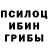 Псилоцибиновые грибы Psilocybe CAMMALL,Wendy Ng