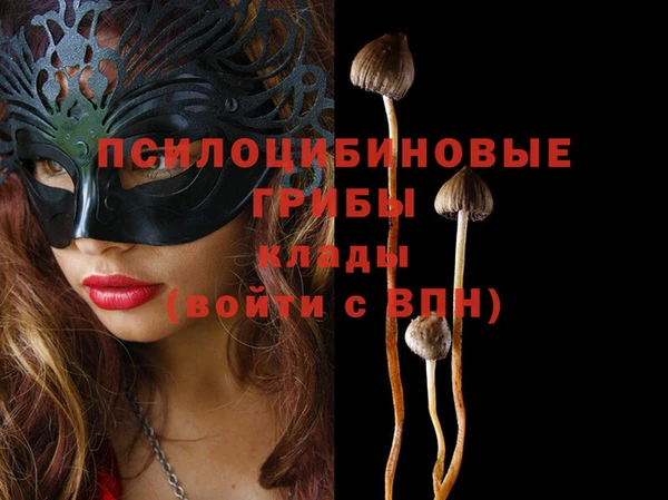 первитин Богородицк