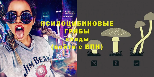 первитин Богородицк