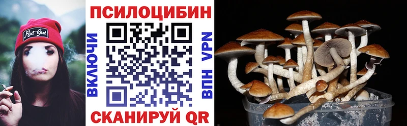 Псилоцибиновые грибы мицелий МЕГА зеркало Среднеуральск